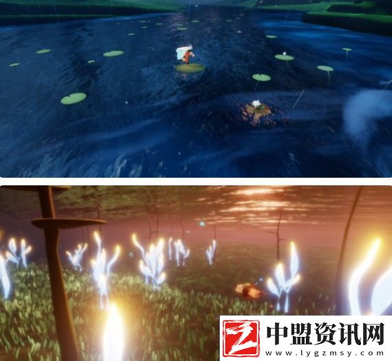 花憩節(jié)活動(dòng)時(shí)間介紹2024