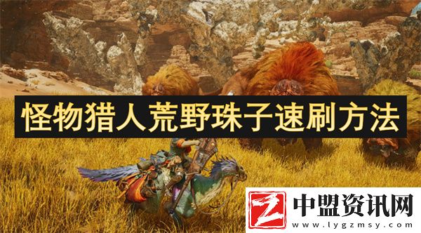 怪物獵人荒野珠子速刷方法