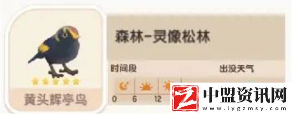 心動小鎮(zhèn)黃頭輝亭鳥位置在哪