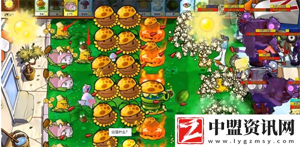 植物大戰(zhàn)僵尸雜交版星光閃卡玉米旋轉(zhuǎn)機(jī)好用嗎