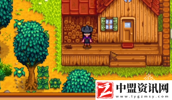 星露谷物語神秘的齊4任務(wù)怎么過