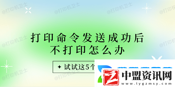 打印命令發(fā)送成功后不打印怎么辦