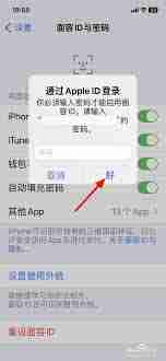 蘋(píng)果商店怎么人臉識(shí)別登錄