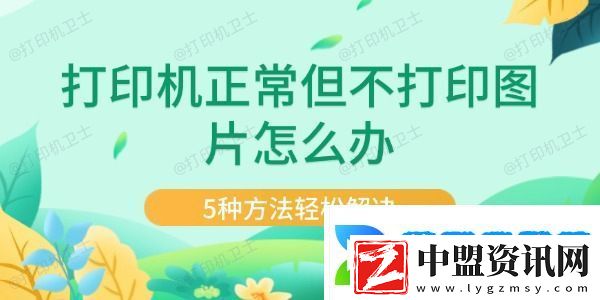 打印機正常但不打印圖片怎么辦