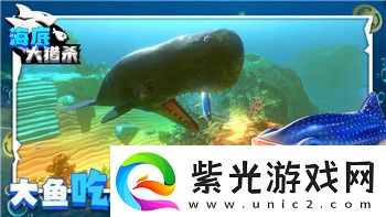 奇葩戰(zhàn)斗家新武器有哪些2023