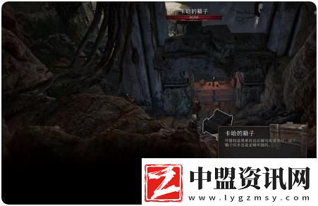 博德之門3卡哈的秘密任務(wù)攻略一覽
