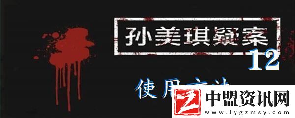 孫美琪疑案