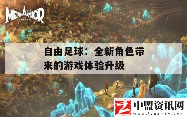 自由足球