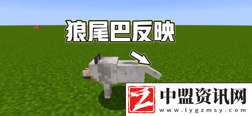 我的世界新版本馴狼秘籍與養(yǎng)狼全攻略