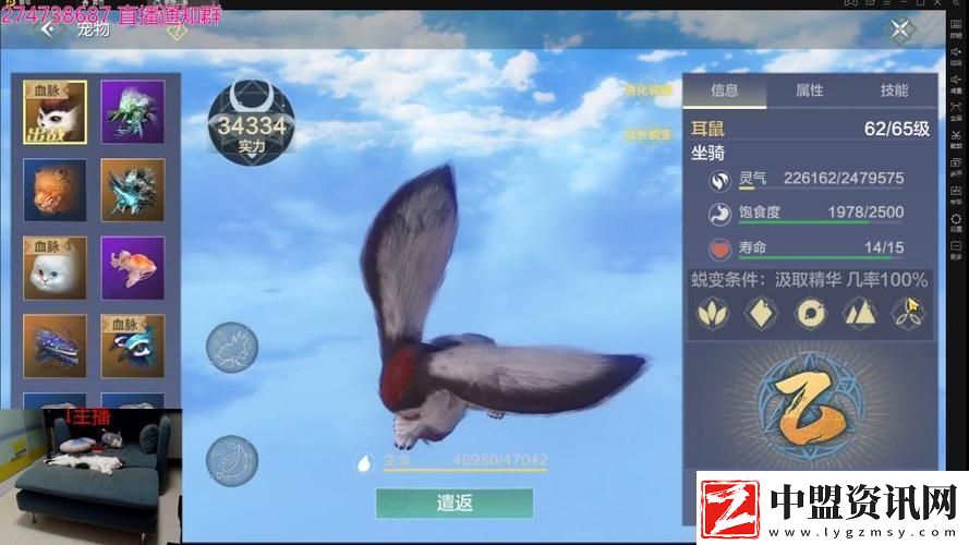 妄想山海吞蛋進(jìn)化全攻略解鎖寵物戰(zhàn)力新高度