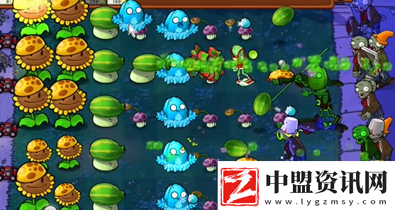 植物大戰(zhàn)僵尸雜交版前院告急第十關(guān)怎么過