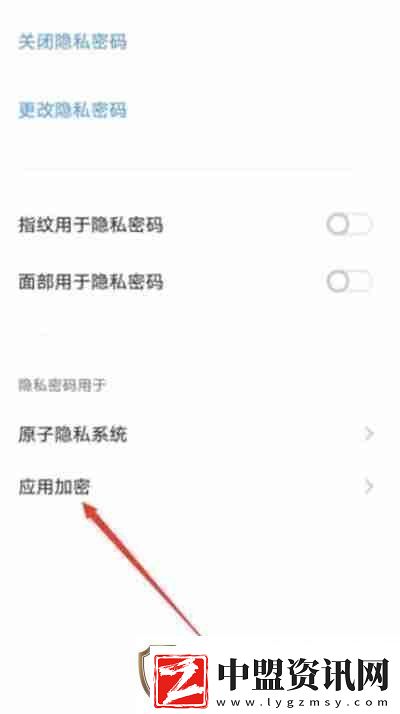 vivo手機怎么給應(yīng)用上鎖