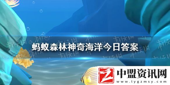 猜一猜指甲蟹是因?yàn)槟姆N特征得名