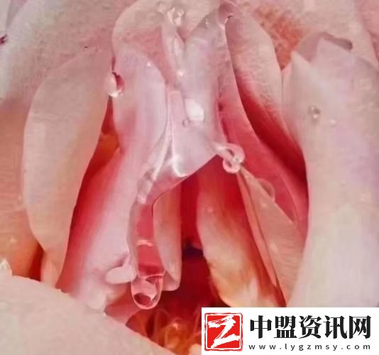 探討“女人私密又白又深又好看”的秘密美麗