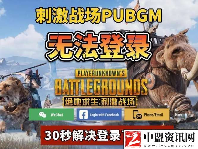 手機(jī)絕地求生無(wú)法登陸