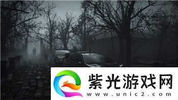 巴哈姆特之怒妮娜的母親