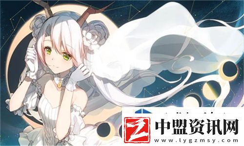 TIKTOK海外直播網絡專線